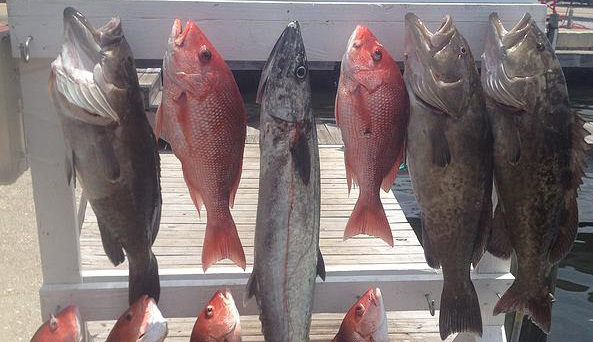 Labor Day Weekend Red Snapper Season