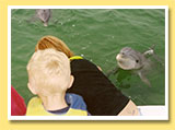 Boat Cruises Pictures