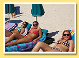 Lounge Chair Rentals Pictures
