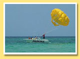 Parasailing Pictures