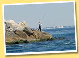 Pontoon Boat Rentals Fishing On Jetties