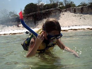 Snorkeling-at-Shell-Island