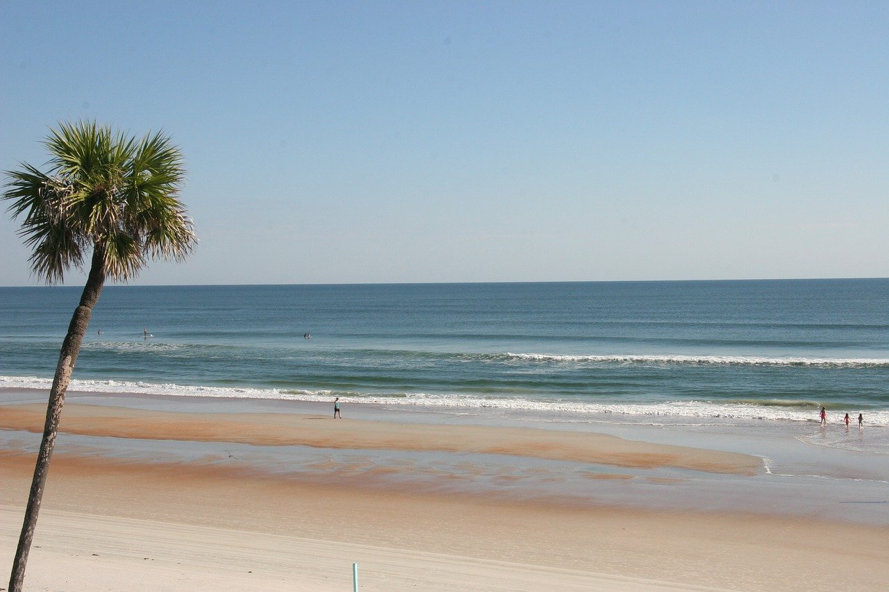 A sandy, pale Gulf Coast beach with a single palm tree, and warm blue waters with small waves.