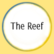 The Reef
