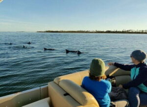 adventures dolphin tour