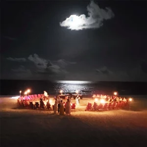 moonlight package bonfires