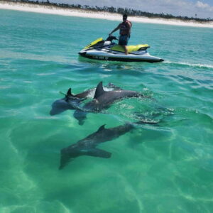 waverunner dolphin tour